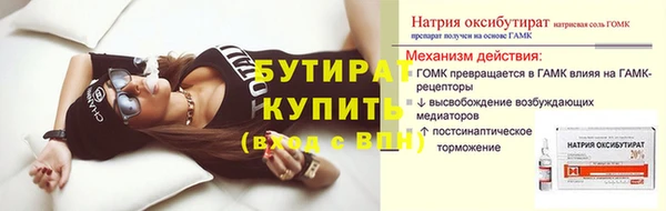 хмурый Пересвет